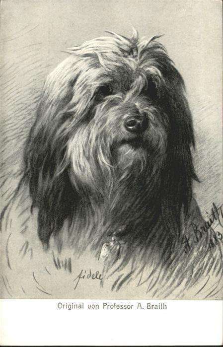 Hunde Künstler A. Braith