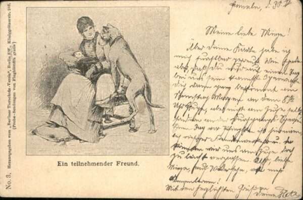 Hunde