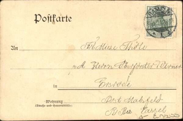 Hunde – Bild 2