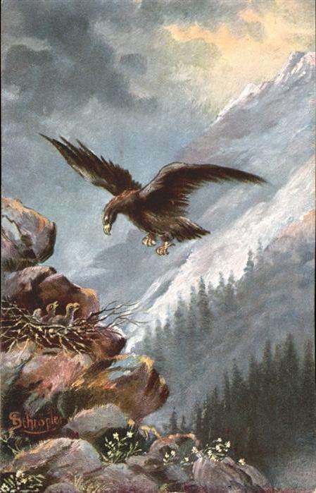 Voegel Adler