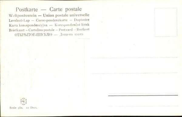 Voegel Adler – Bild 2