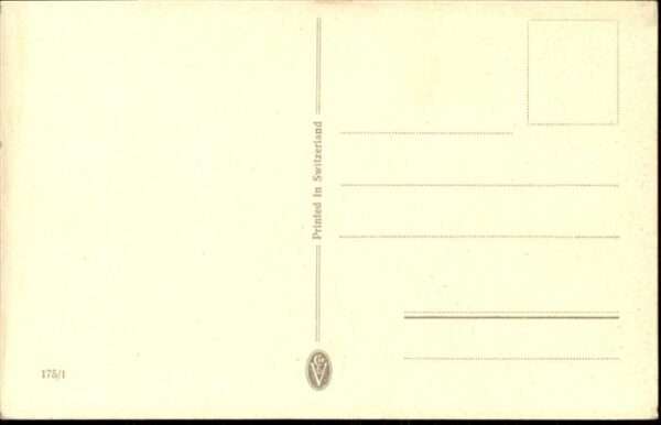 Voegel – Bild 2