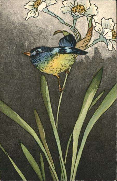Voegel