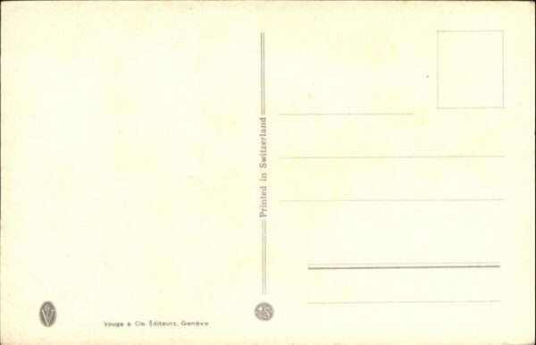 Voegel – Bild 2