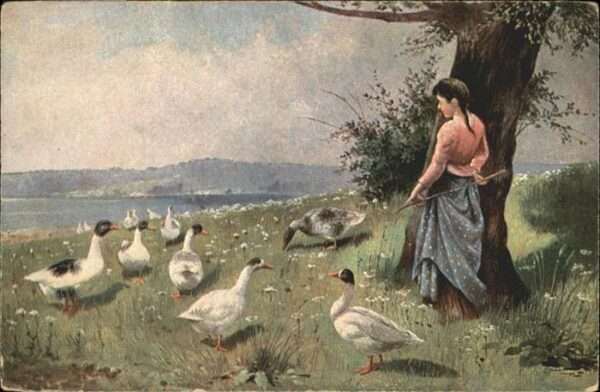 Voegel Enten
