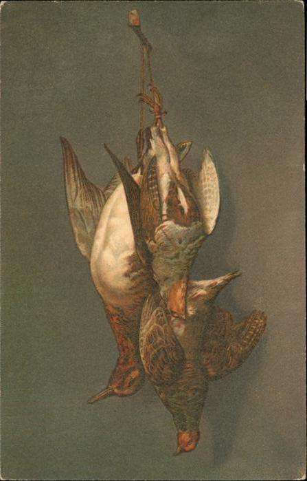 Voegel Jagd