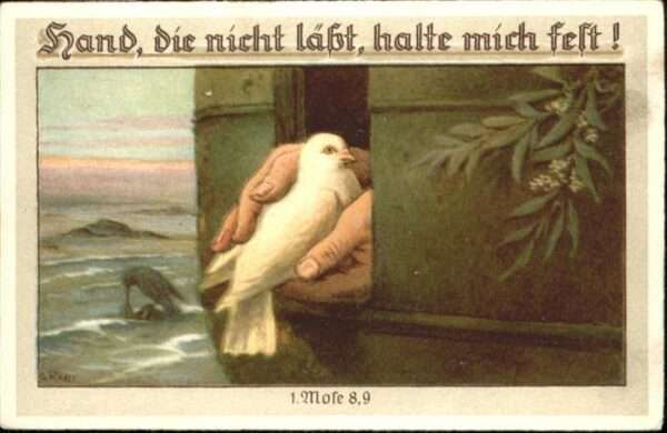 Voegel Künstler G. Räder