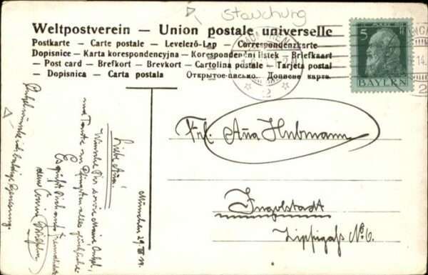 Voegel Pfau – Bild 2