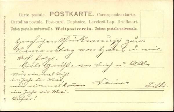Maikaefer Cockchafer Hanneton – Bild 2