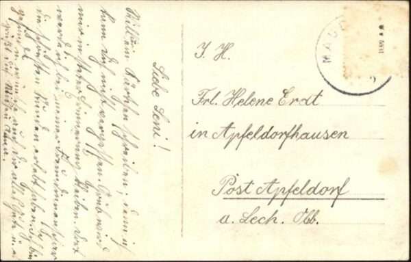 Schweine – Bild 2