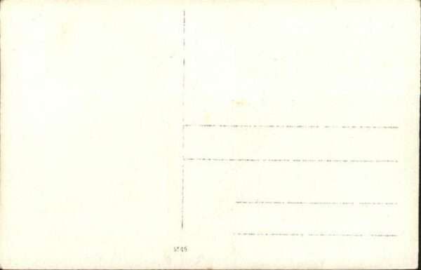 Schweine – Bild 2