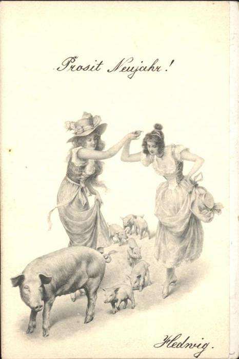Schweine Ferkel Frauen Neujahr