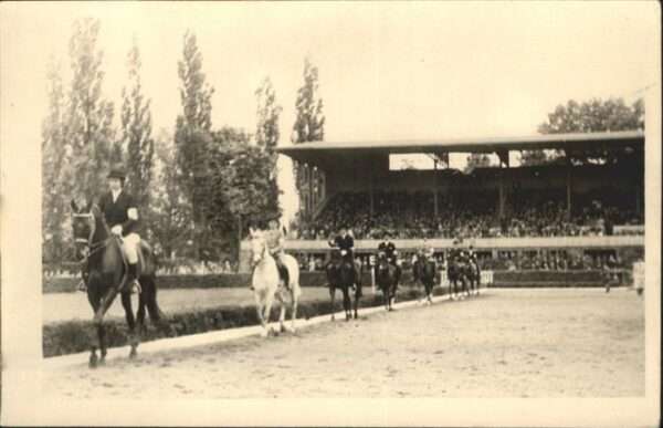 Reitsport Pferdesport Pferderennen