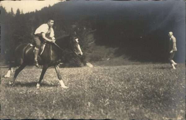 Reitsport Pferdesport Pferderennen