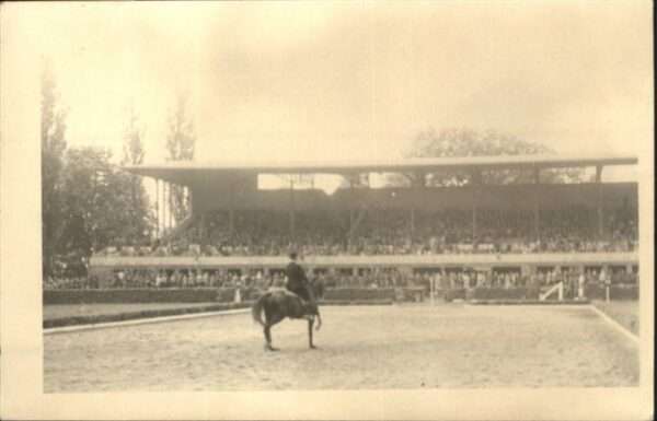 Reitsport Pferdesport Pferderennen