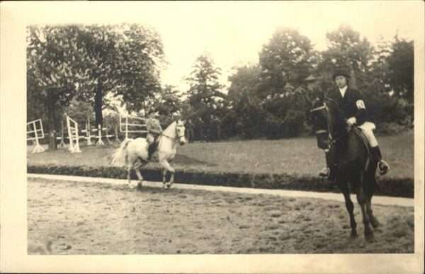 Reitsport Pferdesport Pferderennen