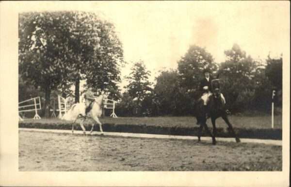 Reitsport Pferdesport Pferderennen