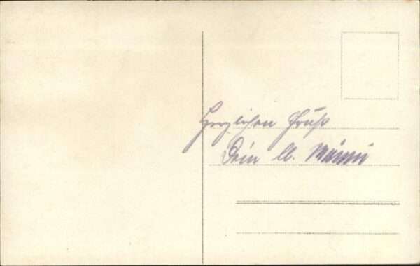Dickhaeuter rumänische Büffelochsen – Bild 2