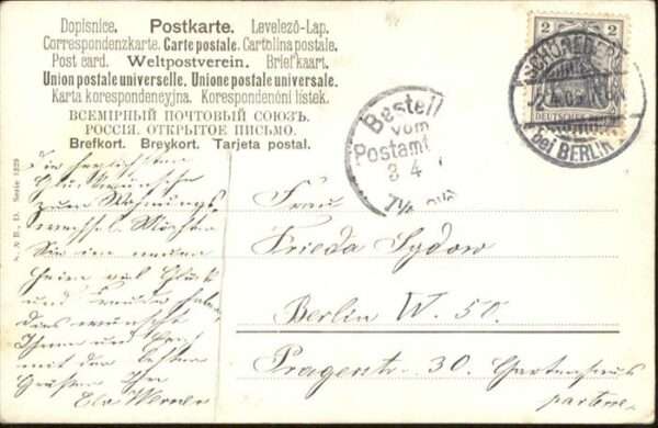 Reh – Bild 2