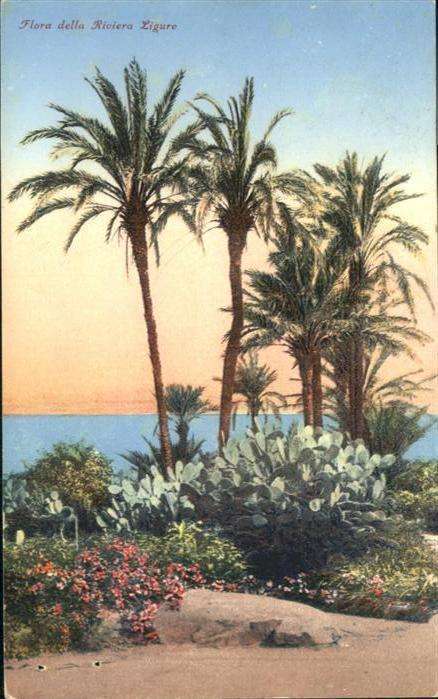 Kakteen Flora della Riviera Ligure Palmen