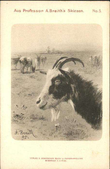 Gams SG Künstler A. Braith