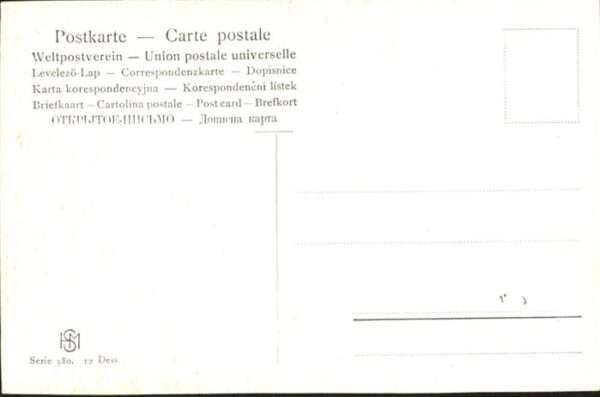 Hasen – Bild 2