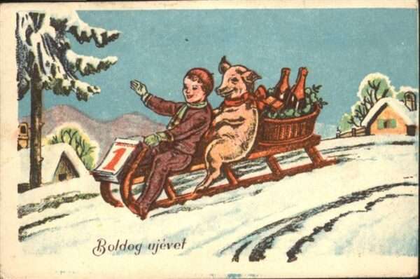 Neujahr Schlitten Kind Schwein