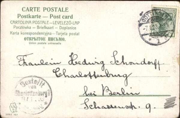 Hunde Kind Mädchen – Bild 2