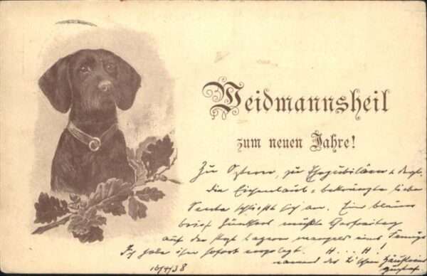 Hunde Neujahr AK von ca. 1900