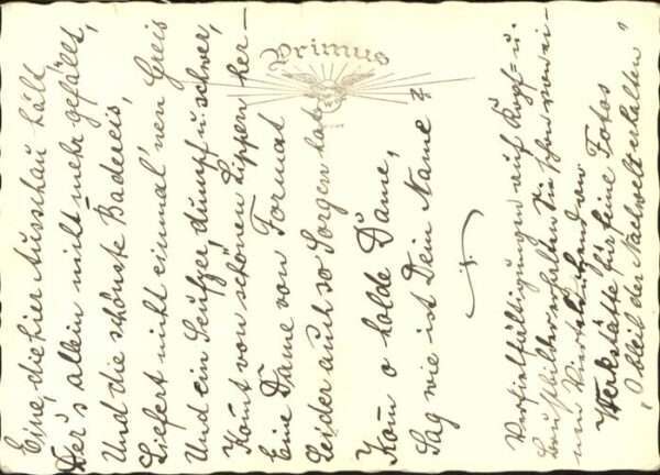 Dickhaeuter Seehund – Bild 2