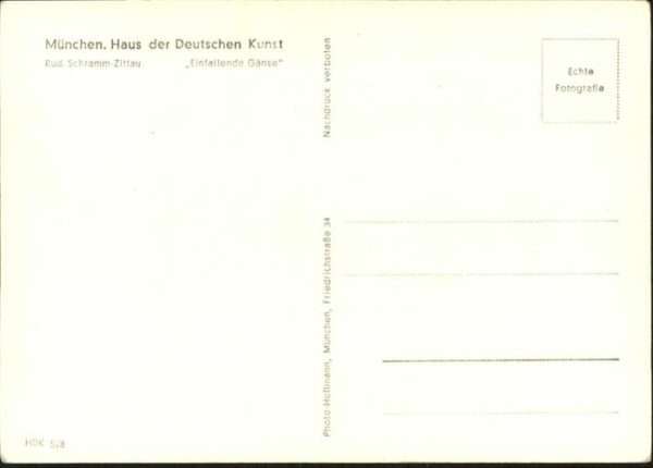 Voegel Gänse – Bild 2