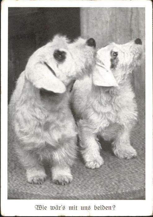 Hunde