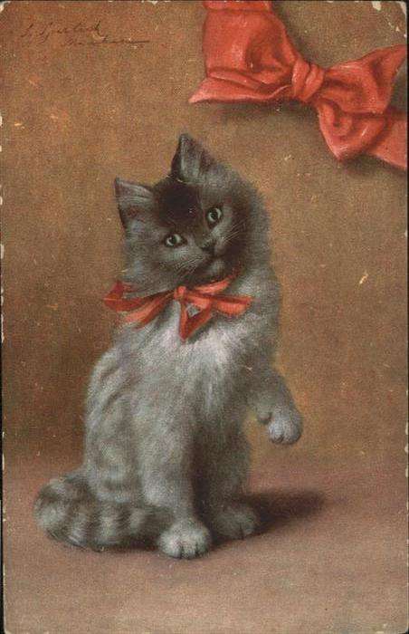 Katzen