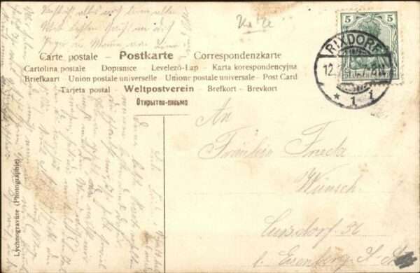 Katzen – Bild 2