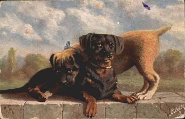Hunde Tucks Oilette Nr. 9364