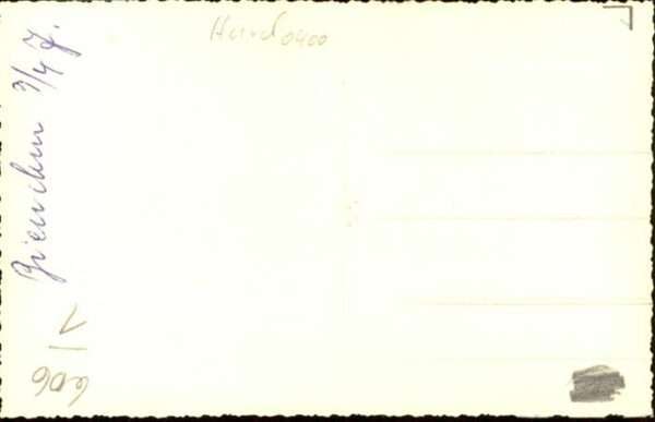 Hunde – Bild 2