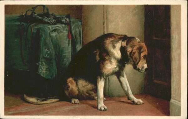 Hunde