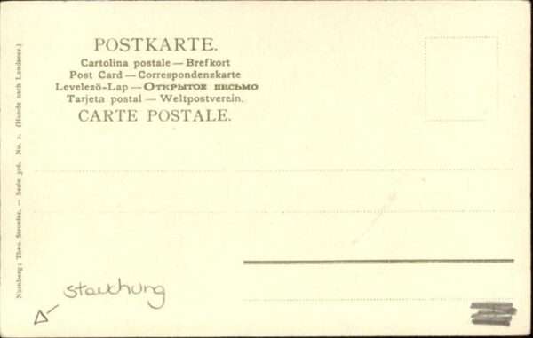 Hunde – Bild 2