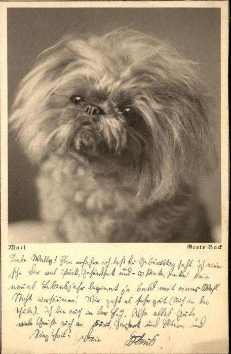 Hunde