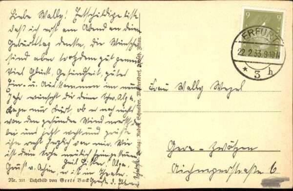 Hunde – Bild 2