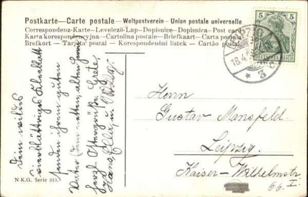 Hunde Castor Pollux – Bild 2