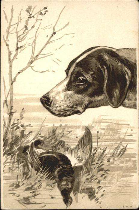 Hunde Vogel