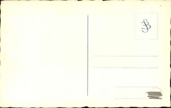 Hunde – Bild 2