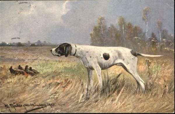 Hunde Jagd