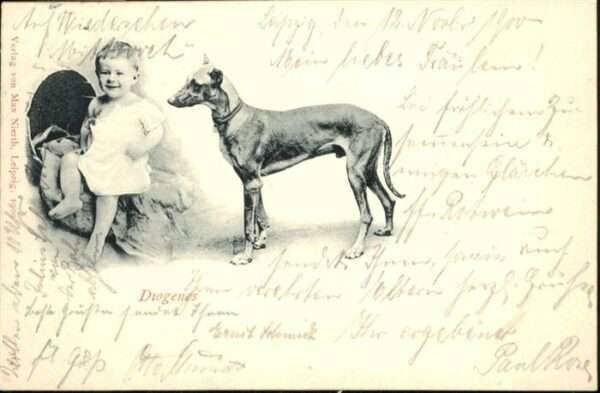 Hunde Kind