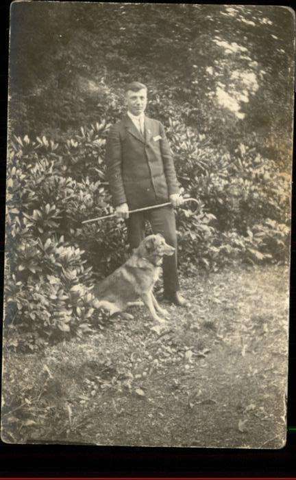 Hunde