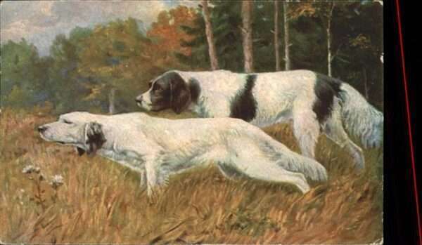 Hunde