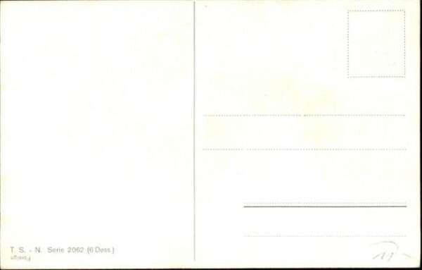 Hunde – Bild 2
