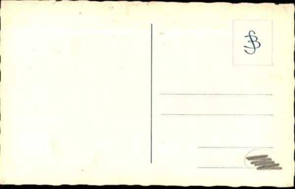 Hunde – Bild 2