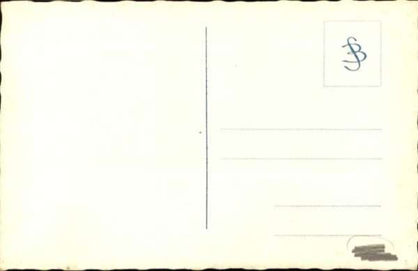 Hunde – Bild 2